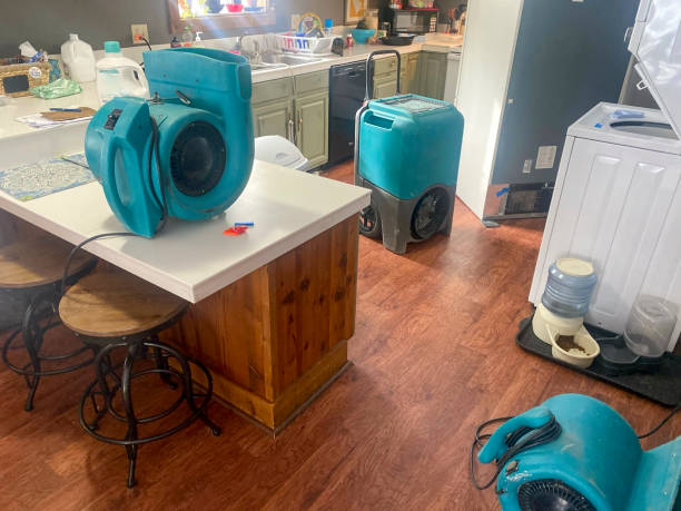 Best Ceiling water damage repair  in Fountain Green, UT