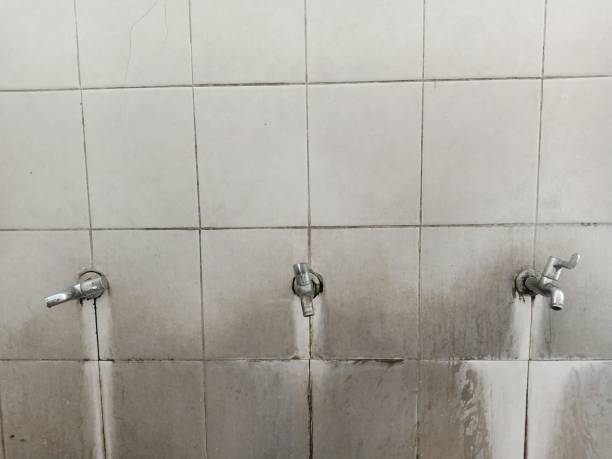 Best Water damage contractors near me  in Fountain Green, UT