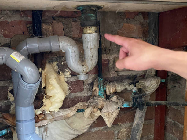 Best Water damage restoration near me  in Fountain Green, UT